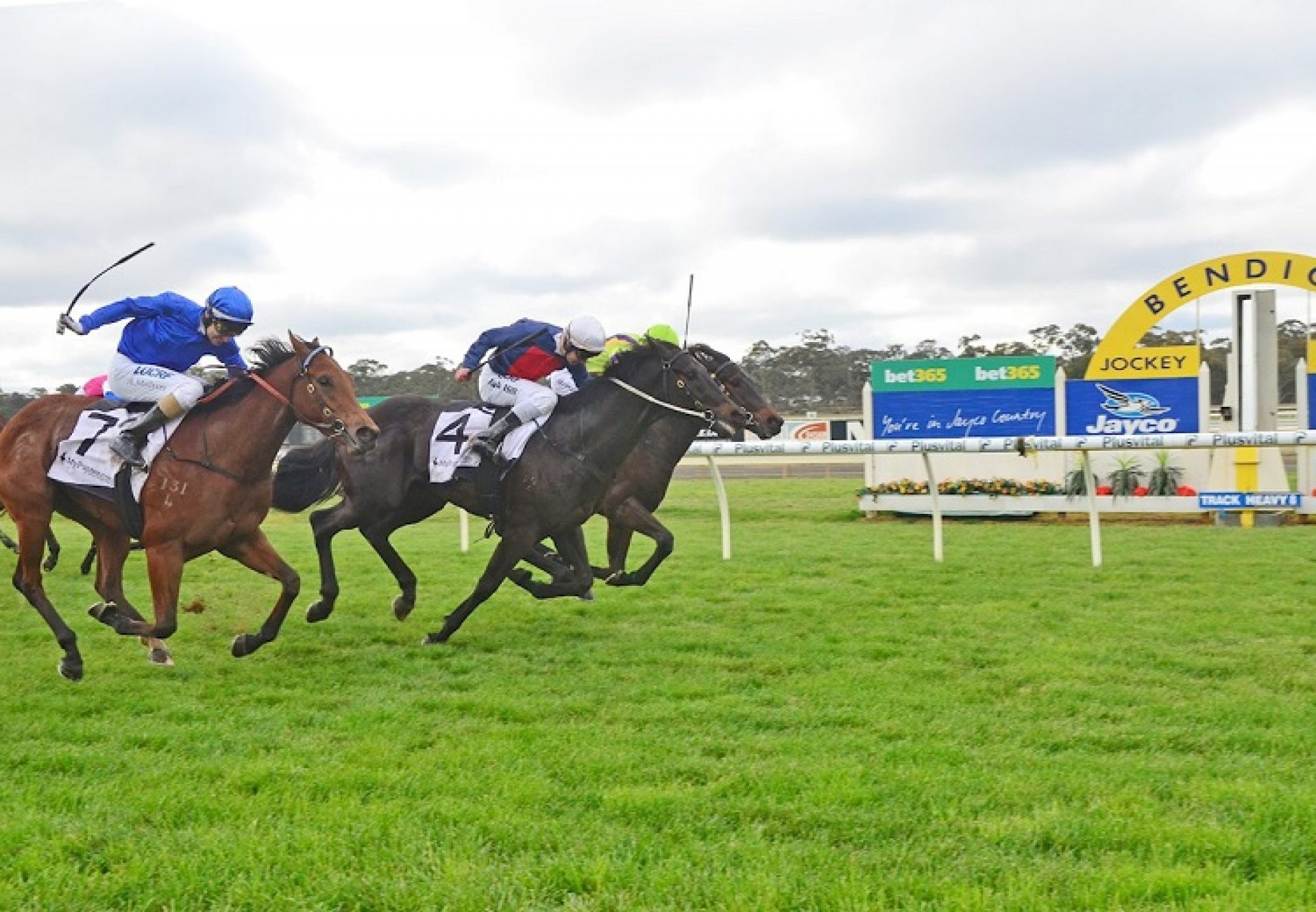 Octabello (Pierro) winning at Bendigo