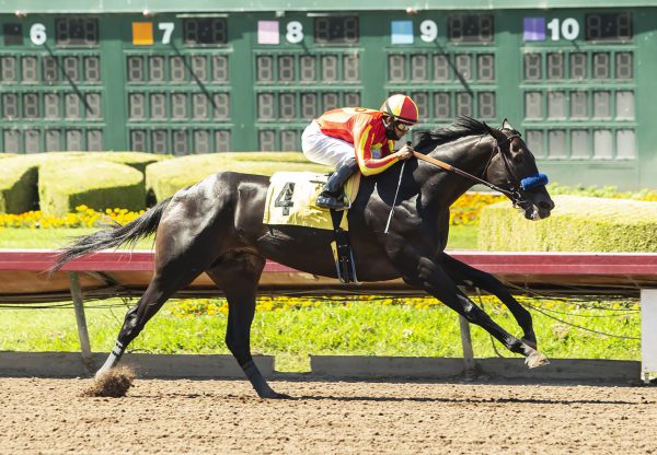 Uncle Chuck (Uncle Mo) Winning G3 Los Al Derby