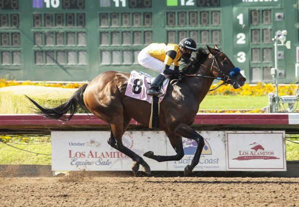 Galilean (Uncle Mo) wins the Soi Phet Stakes at Los Alamitos