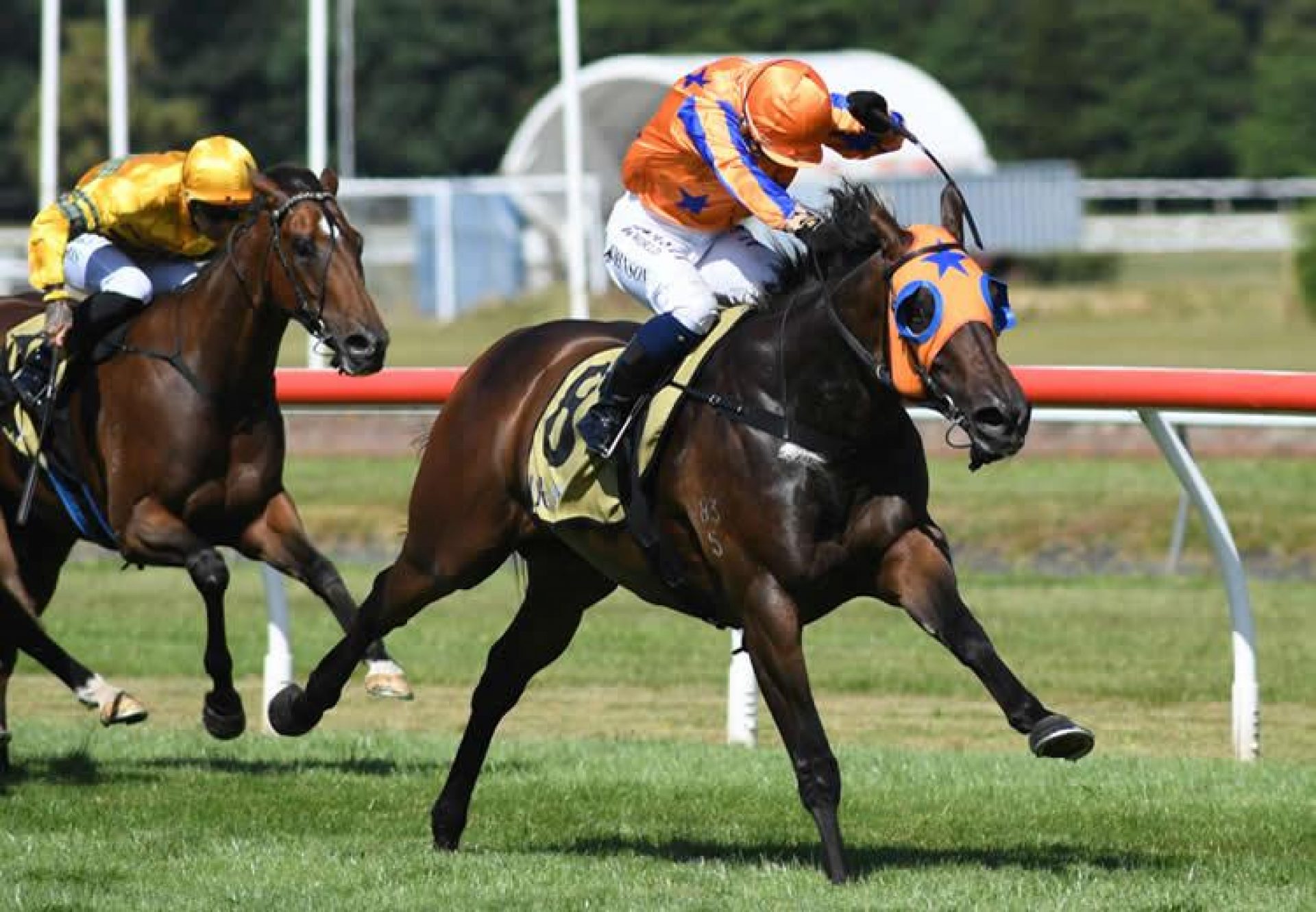 Avantage (Fastnet Rock) wins the G1 JR & N Berkett Telegraph at Trentham