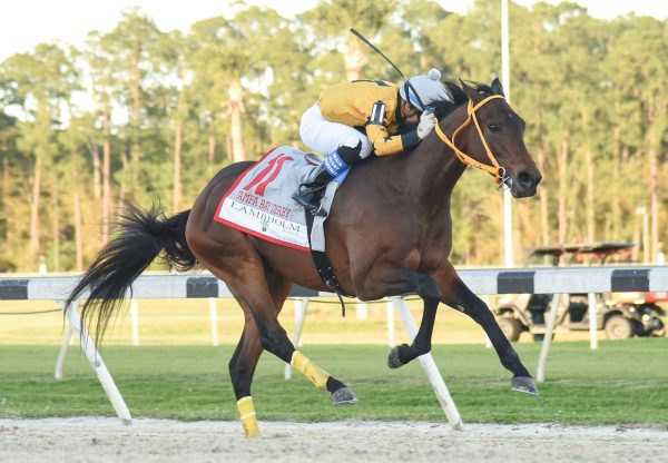 King Guillermo (Uncle Mo) winning the Tampa Bay Derby