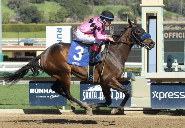 West Sider Uncle Mo Breaking Santa Anita Maiden