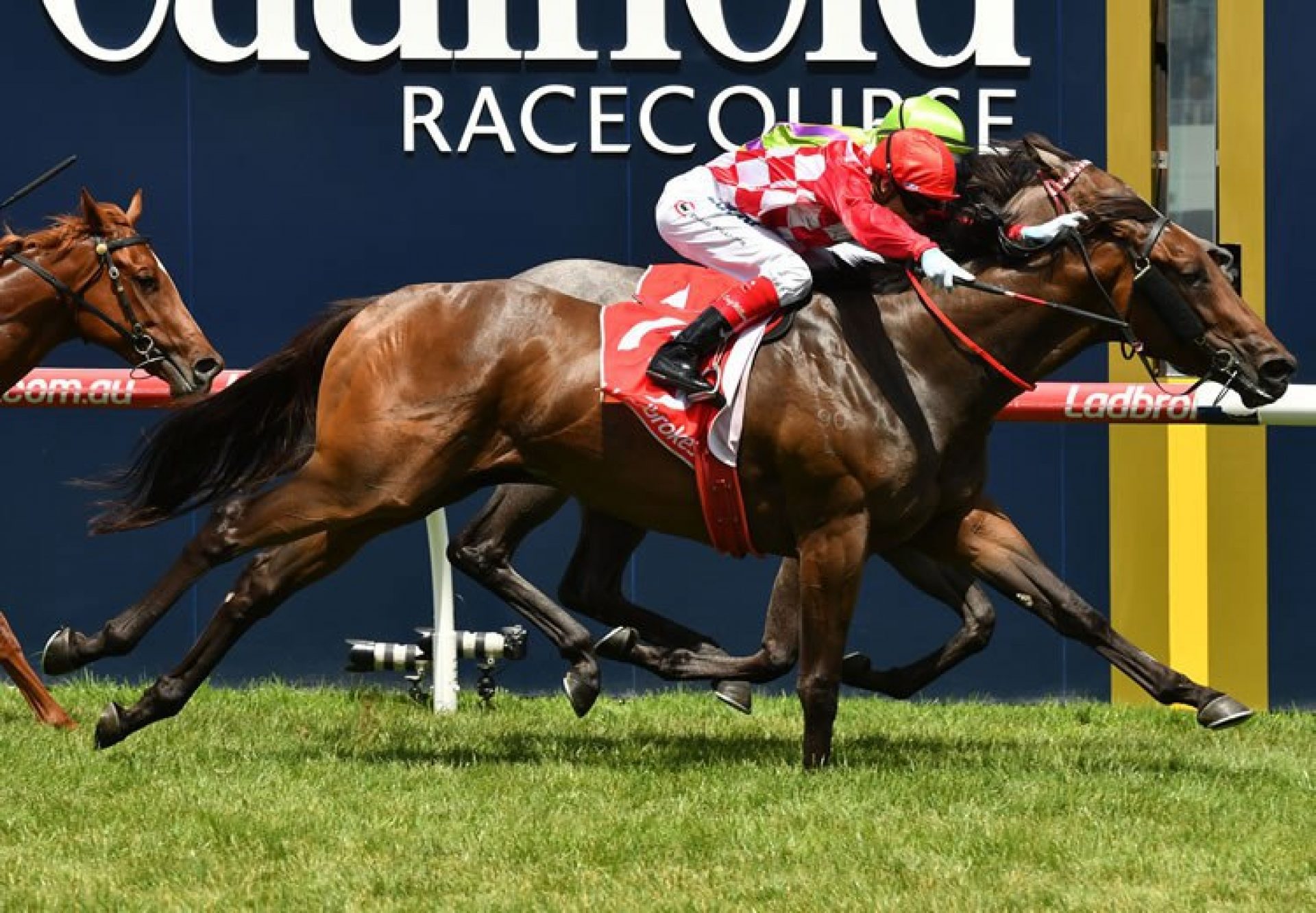 Catchy (Fastnet Rock) winning the G2 MRC Blue Diamond Prelude at Caulfield