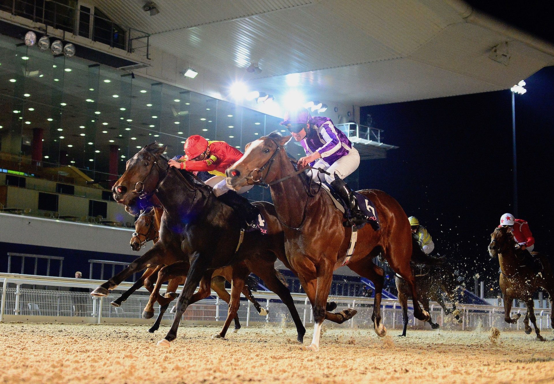 Hazel (No Nay Never) Wins Her Maiden At Dundalk