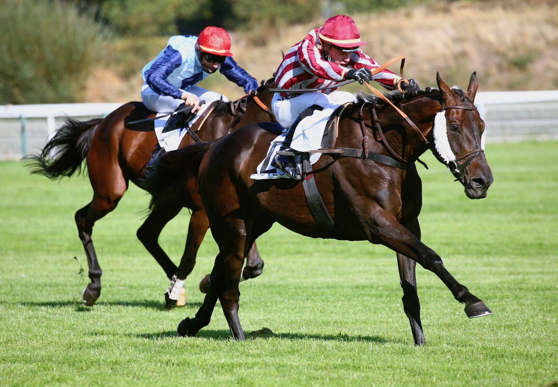 Figuero (Yeats) Wins The Grade 3 Prix Ingret at Auteuil