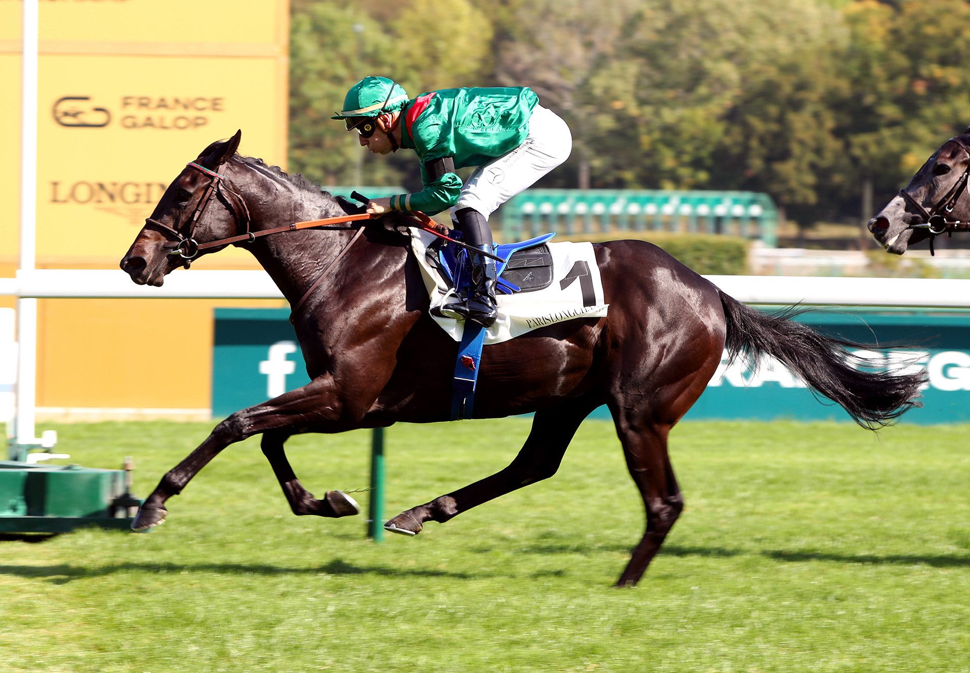 Zabiari (Wootton Bassett) wins the Gr.3 Prix Des Chenes at ParisLongchamp