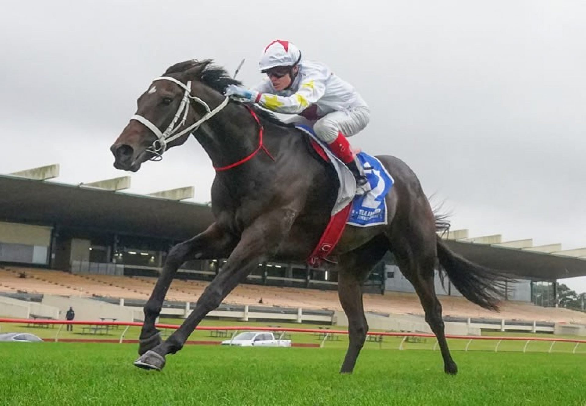 Fuller (Pierro) winning at Sandown