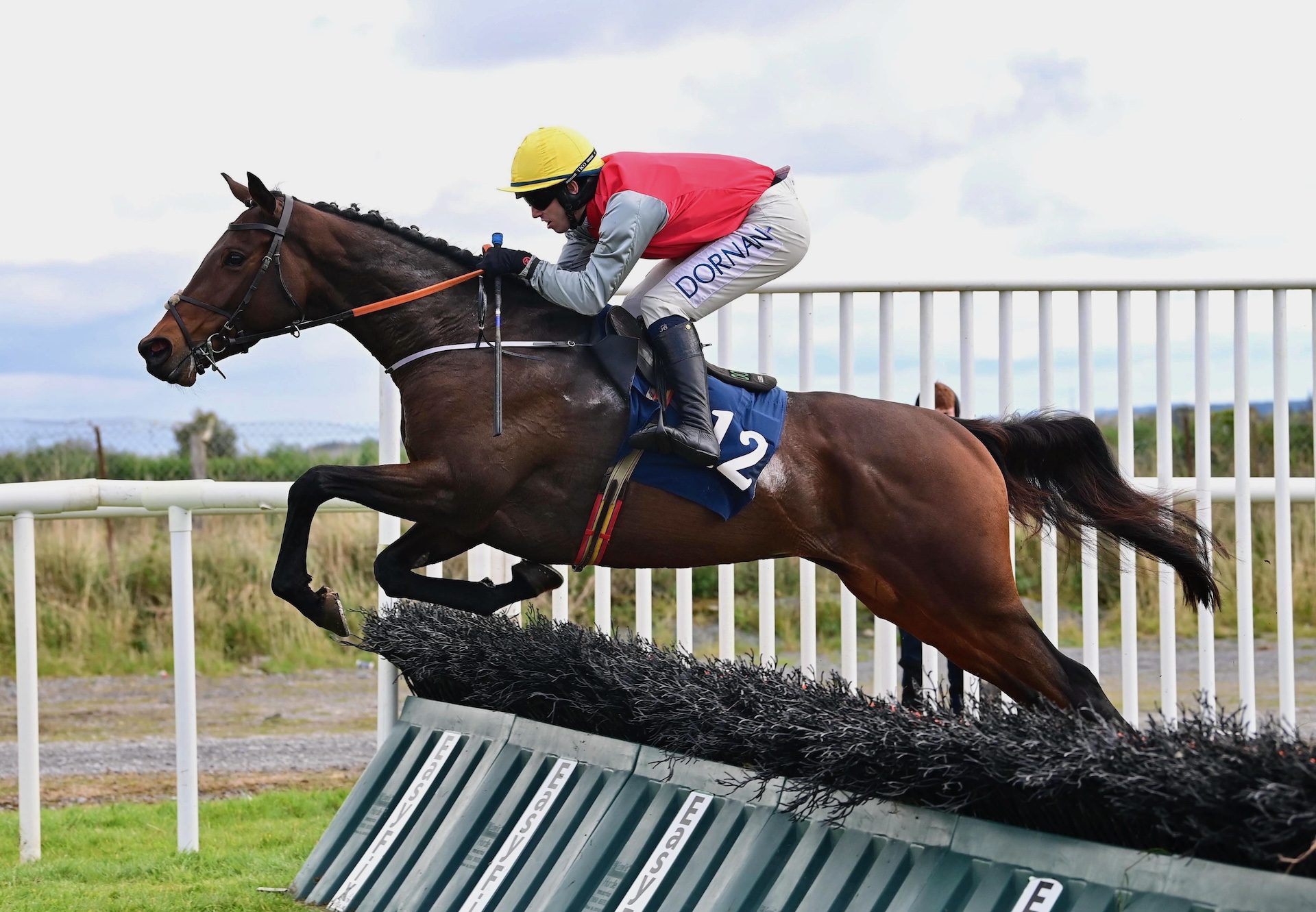 Wonleg (Order of St George) Wins The Maiden Hurdle At Roscommon