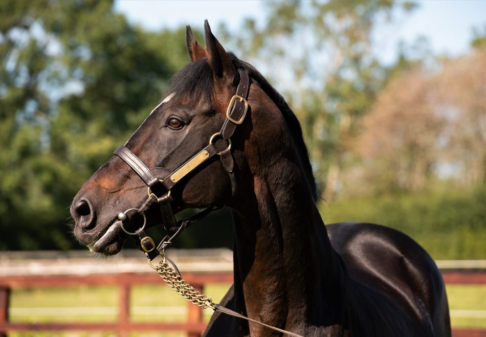 Dunbar (Vancouver) winning at Pinjarra