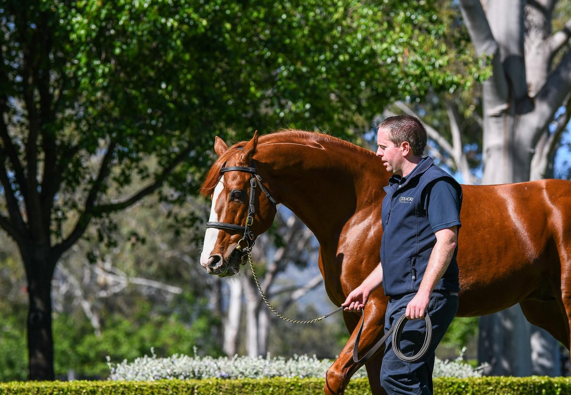 Justify walking