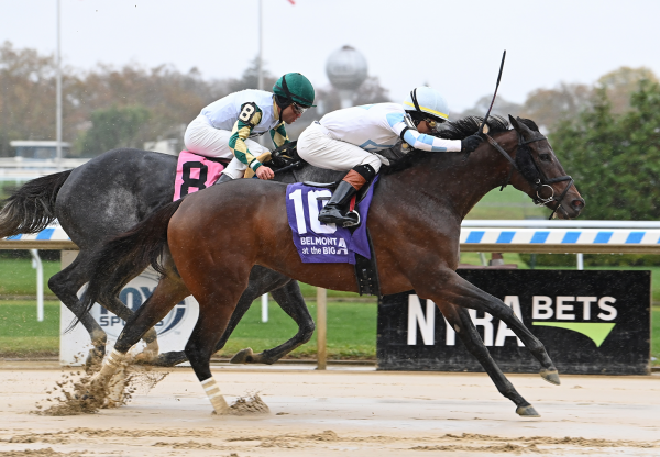 Amanda's Folly (Mendelssohn) winning the Ticonderoga Stakes at Belmont at Aqueduct