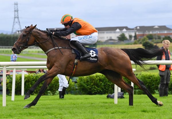 Arctic Fly (Walk In The Park) Wins The Listed Novice Hurdle At Galway