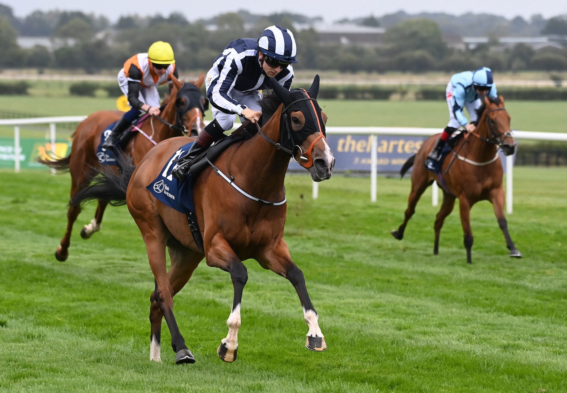 Shandy (Starspangledbanner) Wins The Group 3 Ballyogan Stakes At Naas