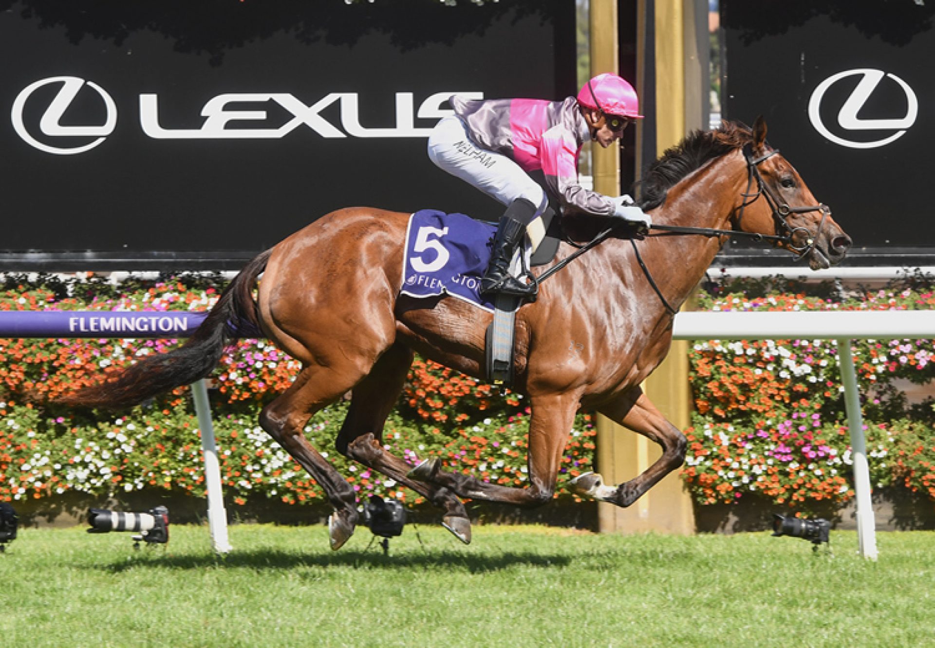 Sirleo Miss (Pride Of Dubai) wins the Gr.3 Matron Stakes at Rosehill