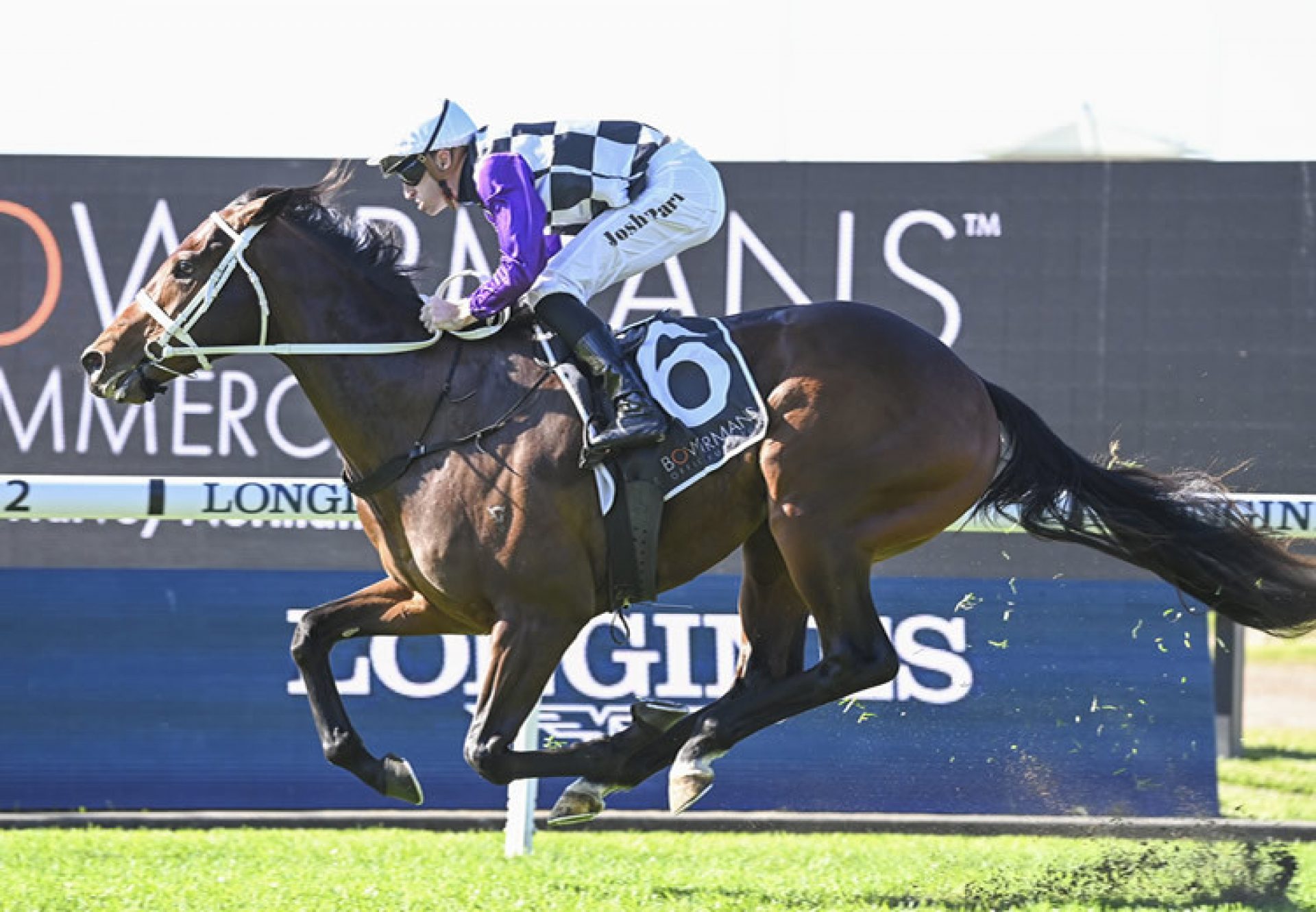 Osipenko (Pierro) winning at Rosehill