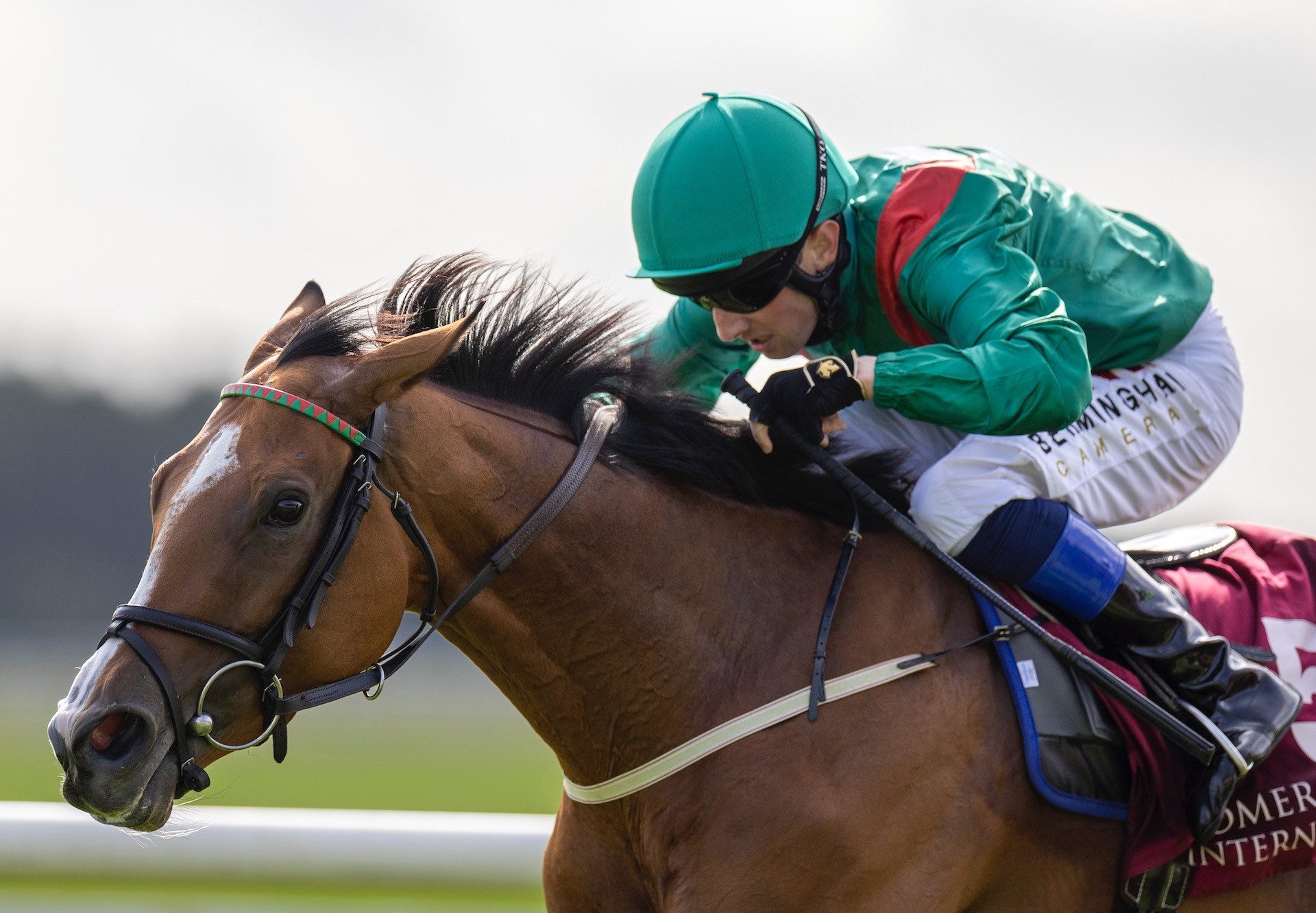 Shamida (Australia) Wins The Group 3 Irish St Leger Trial at the Curragh