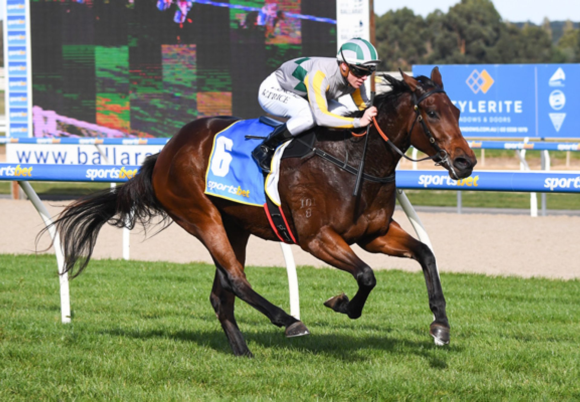 Eclair Sunrise (Fastnet Rock) winning at Ballarat