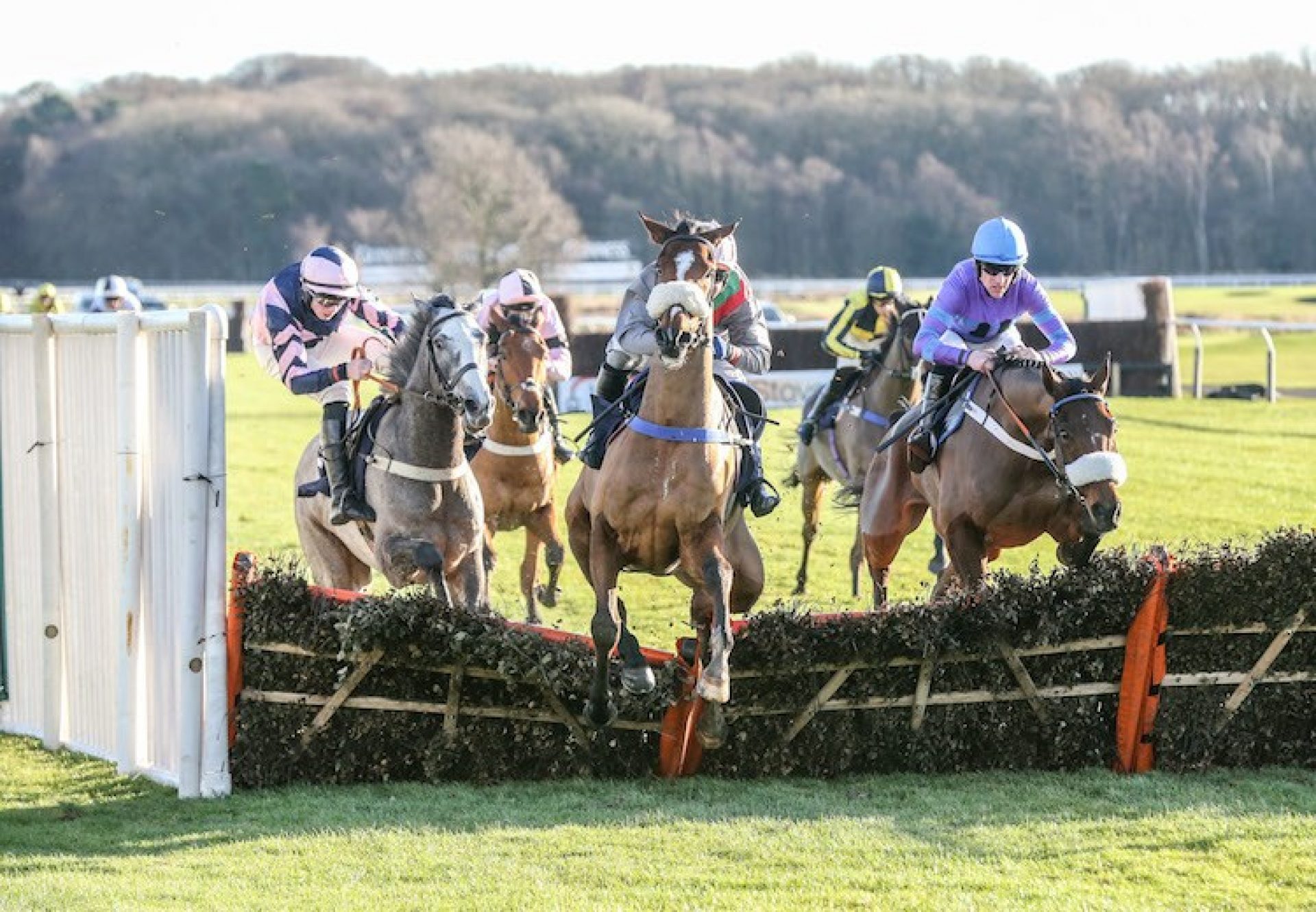 The Great Getaway (Getaway) winning a novice hurdle at Newcastle