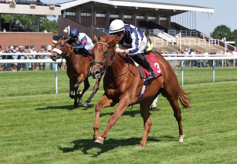 Lake Forest (No Nay Never) Wins On Debut At Haydock