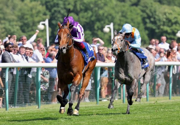 Little Big Bear (No Nay Never) Wins The Group 2 Sandy Lane Stakes at Haydock