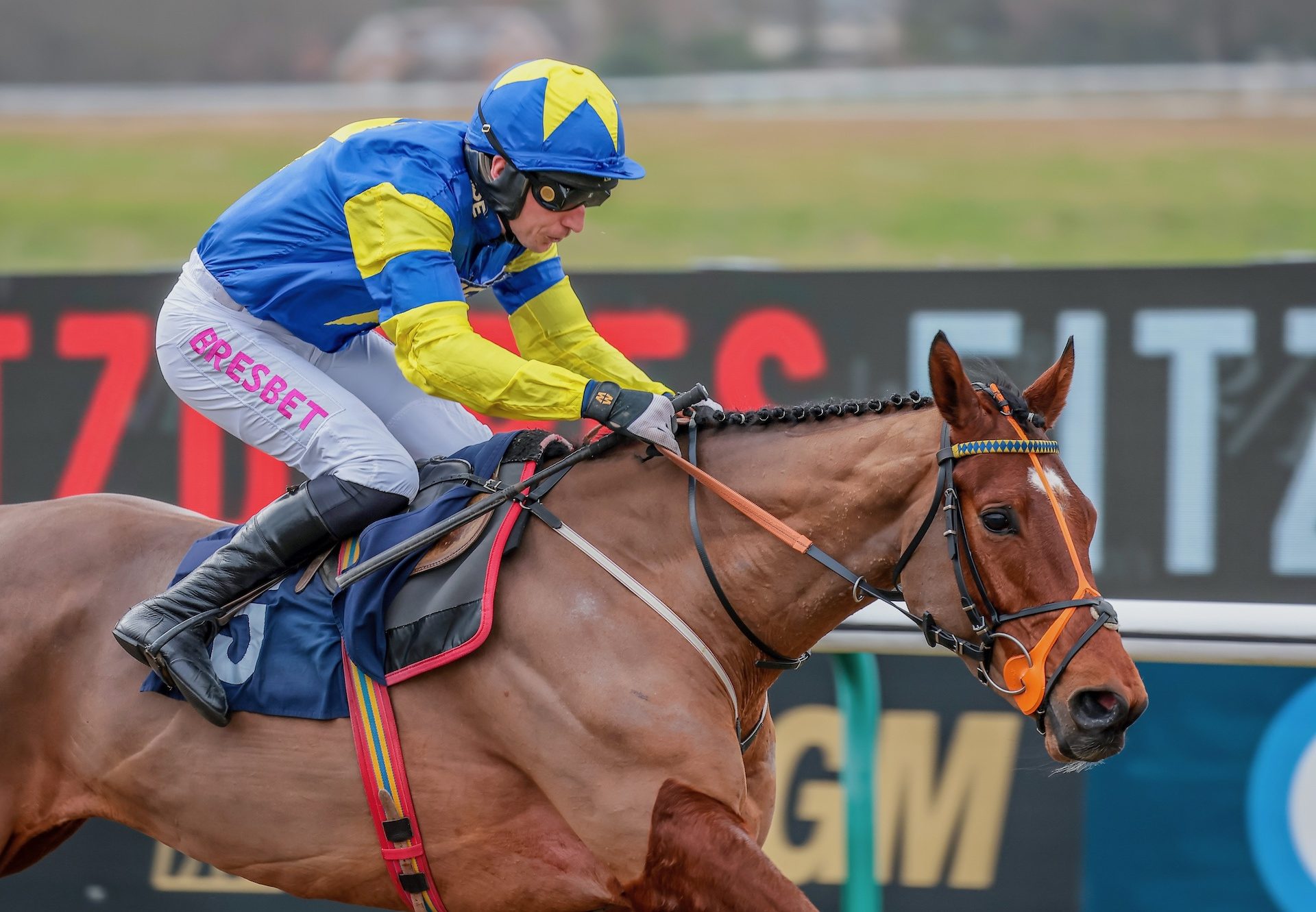 Tripoli Flyer (Getaway) Wins The Bumper At Lingfield