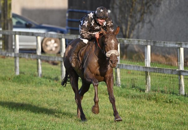 Glendaars Fortune (Soldier Of Fortune) Wins The 5YO Mares Maiden At Tattersalls