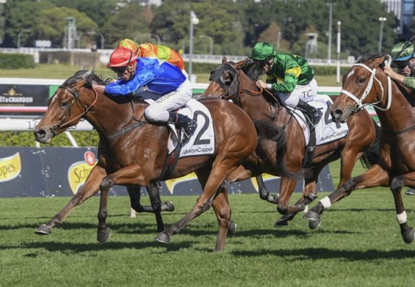 Rubisaki (Rubick) winning the Gr.3 Carr Stakes at Randwick