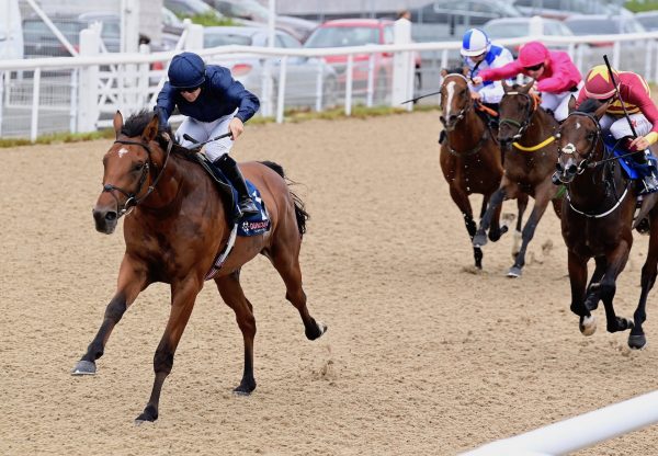 Adelaide River (Australia) Makes A Winning Debut At Dundalk