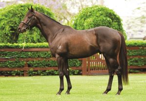 Opera Singer (Justify) Wins Gr.1 Prix Marcel Boussac at ParisLongchamp