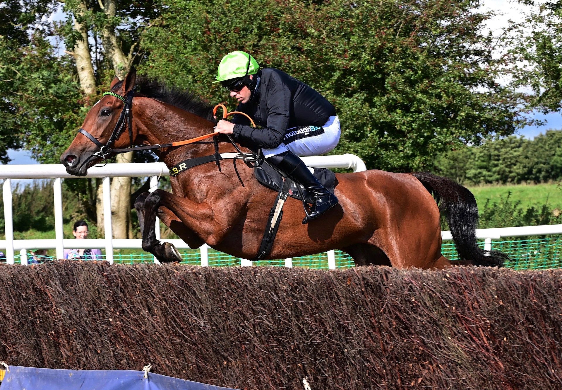 Reddys Island (Soldier Of Fortune) Wins The 4 Yo Mares Maiden At Oldcastle