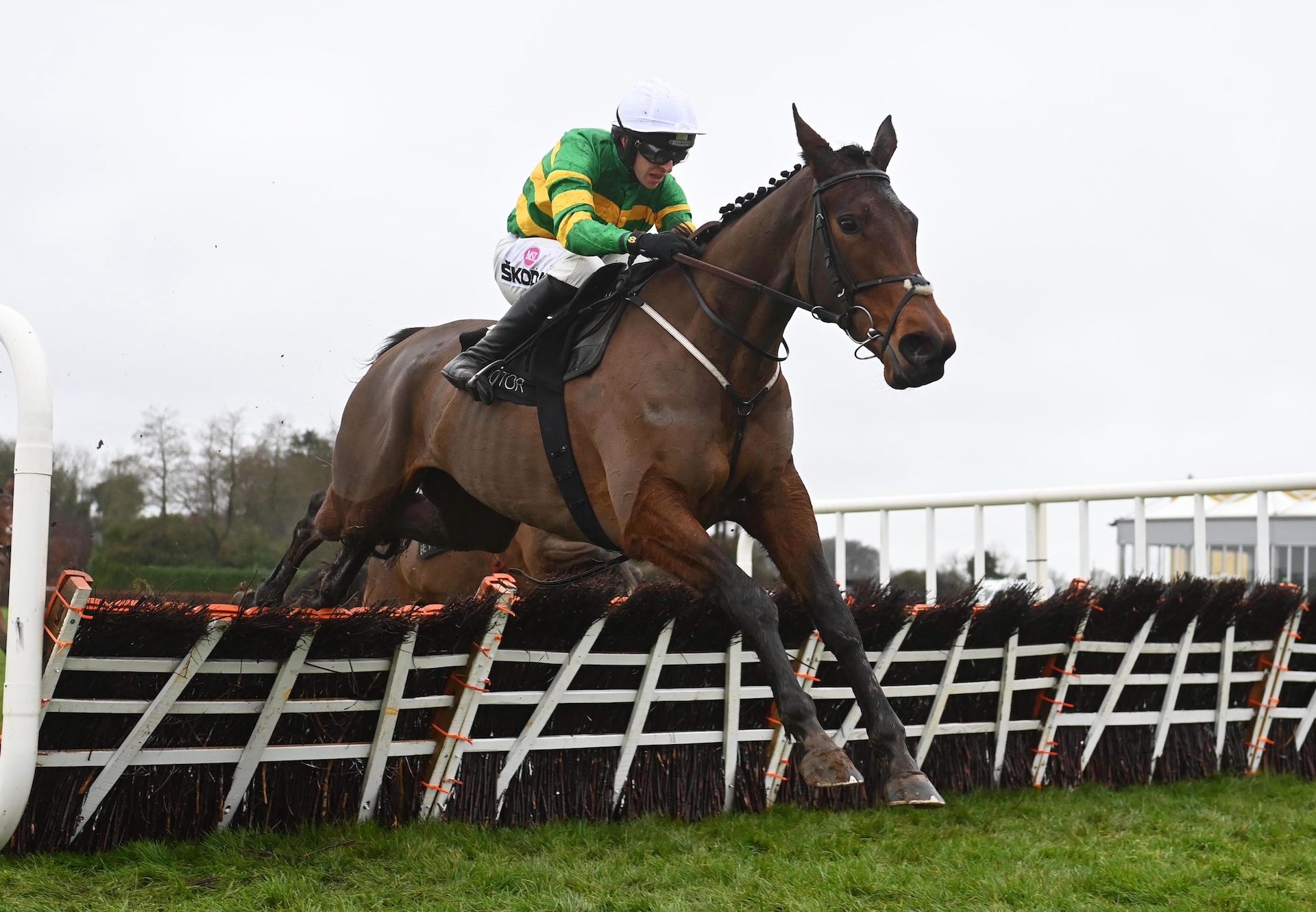 Bioluminescence (Walk In The Park) Wins The Mares Maiden Hurdle At Punchestown