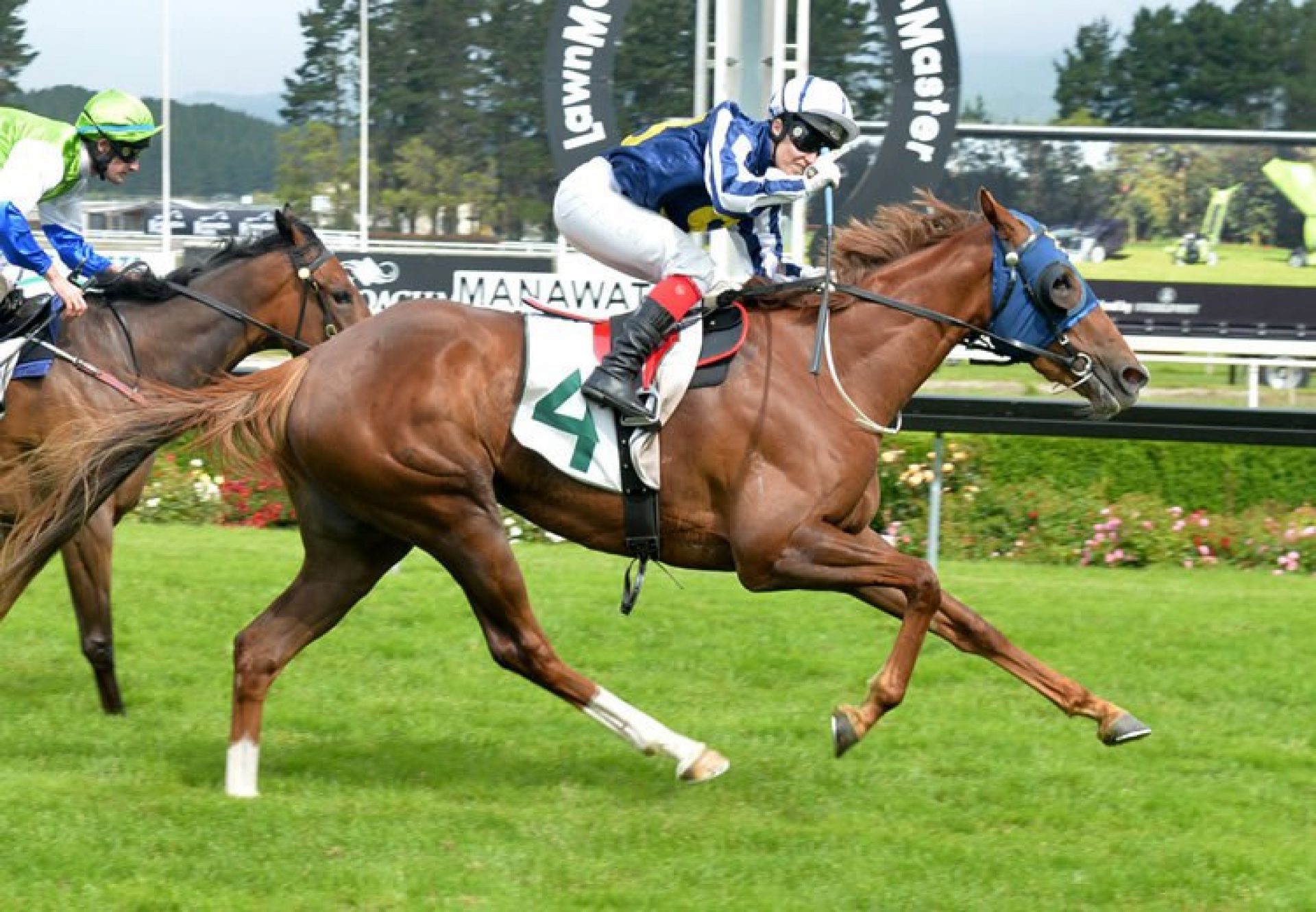 Choice (Mastercraftsman) winning the Gr.3 Eulogy Stakes at Awapuni