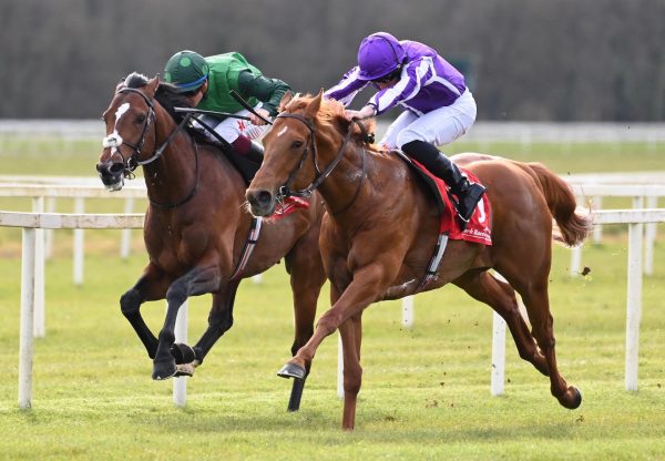 Shark Bay (Australia) Wins His Maiden At Cork