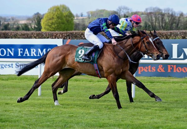 Unavoidable (Gleneagles) Wins On Debut At Navan