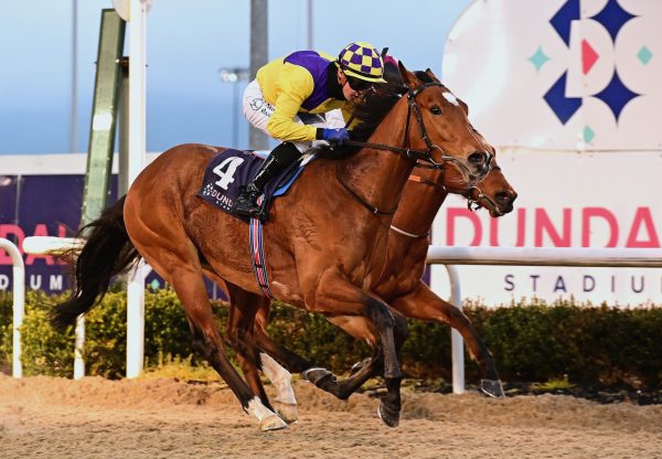 Gleneagle Bay (Gleneagles) Wins On Debut At Dundalk