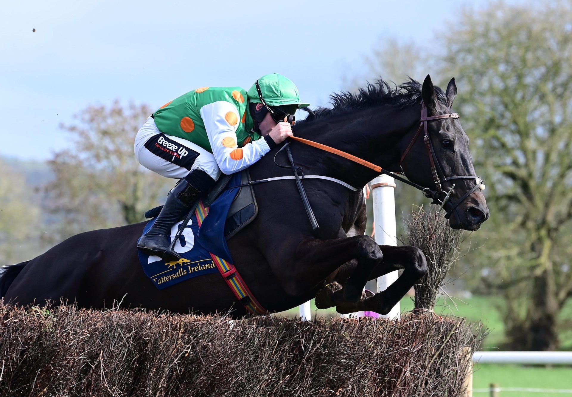 Small Town Kid (Getaway) Wins The 5YO Maiden At Ballyraggett