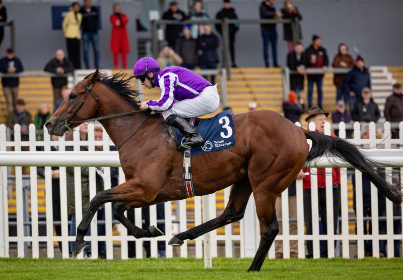 Bounty (No Nay Never) Wins His Maiden At Naas