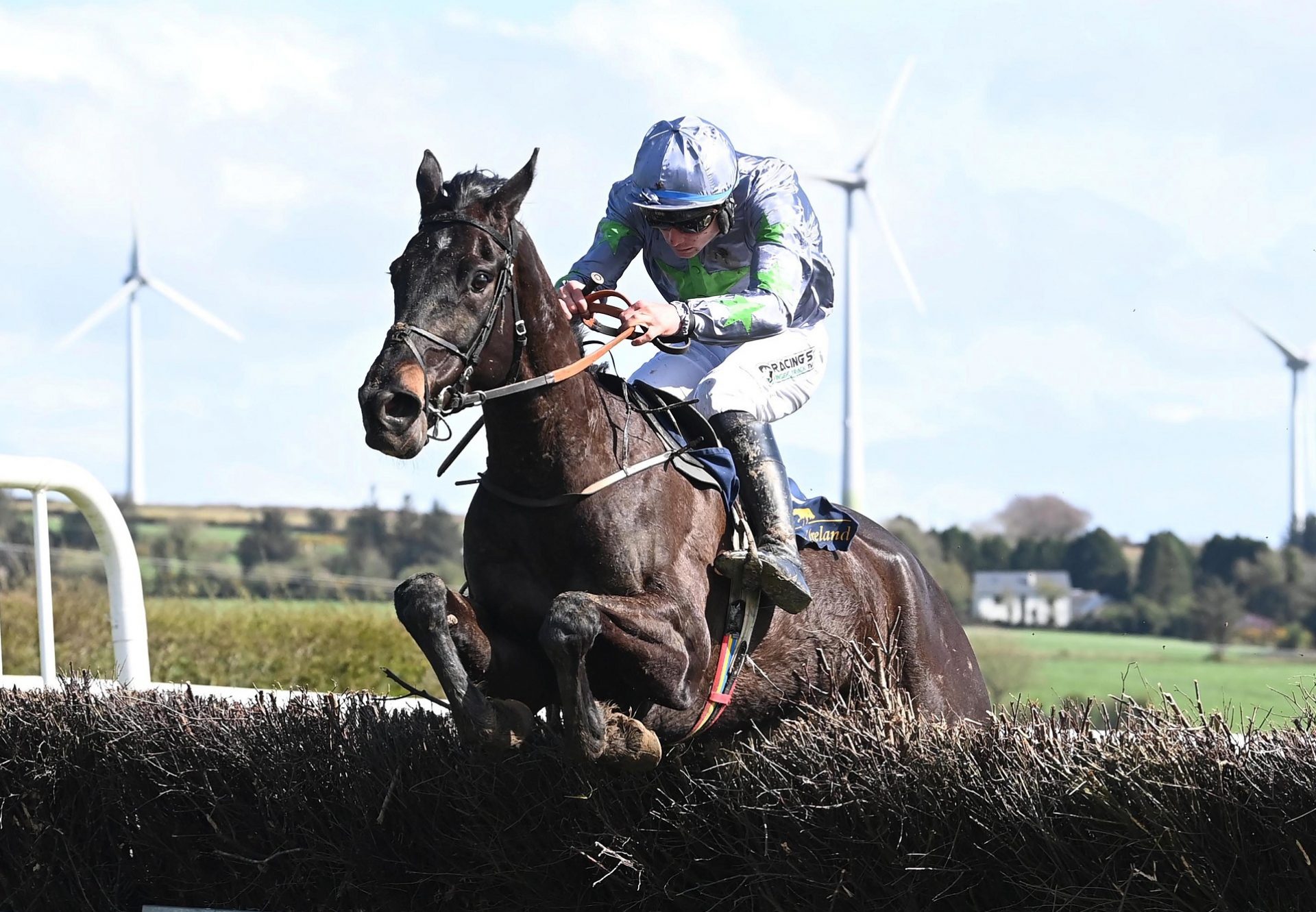 Committee Meeting (Yeats) winning at Ballycrystal P2P