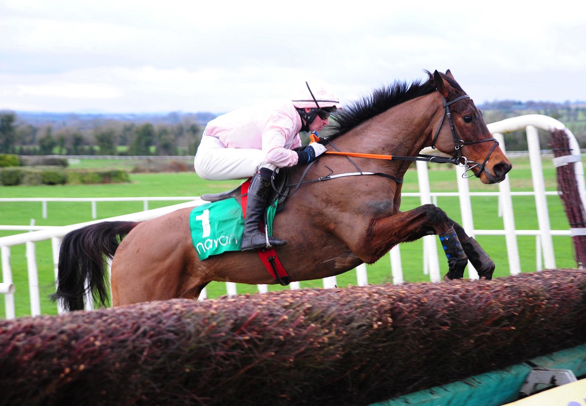 Ah Littleluck (Mahler) Wins The Beginners Chase At Navan