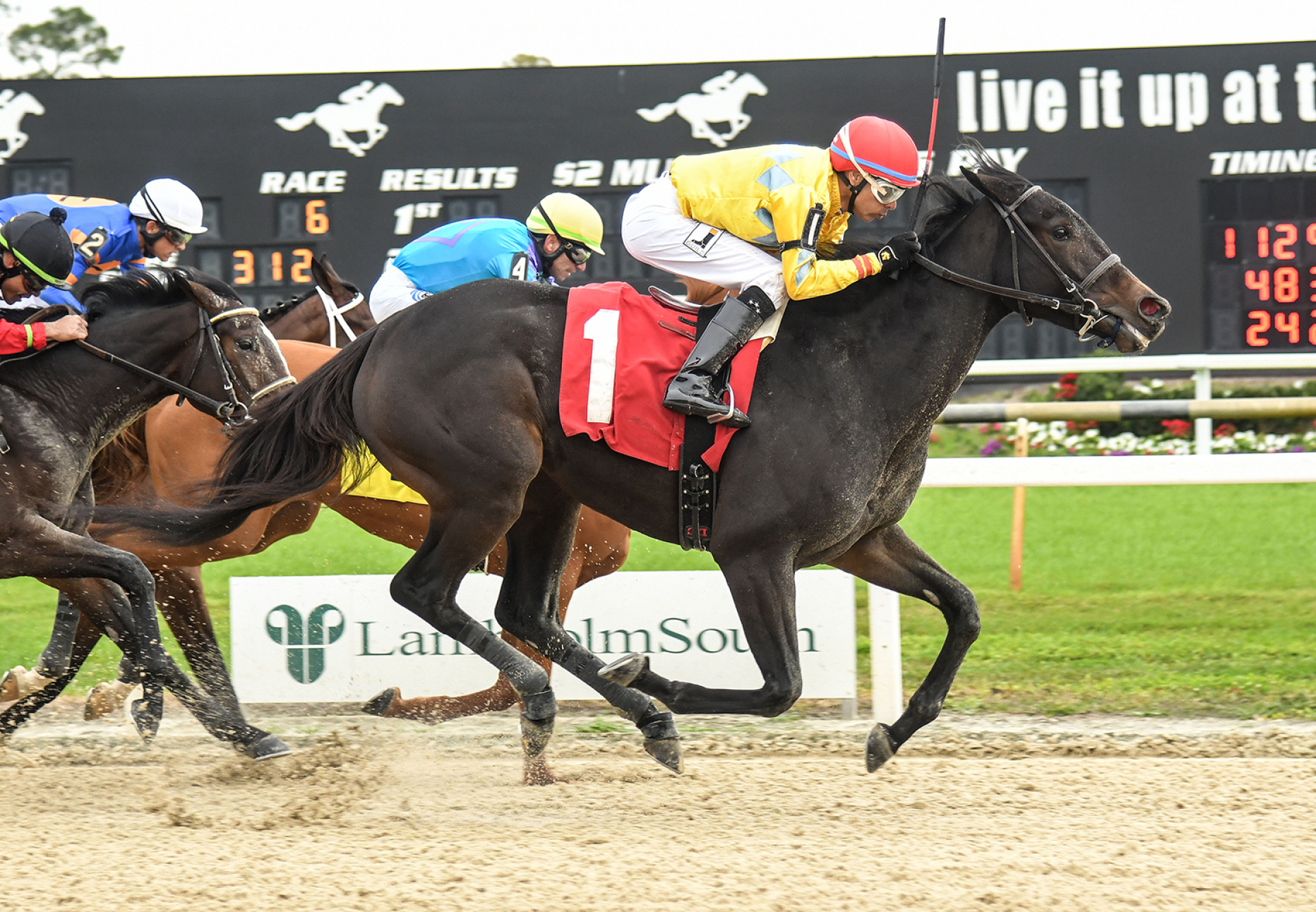 Opus Forty Two (Mendelssohn) Wins Wayward Lass Stakes at Tampa Bay Downs