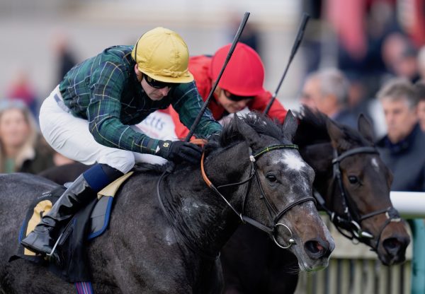 Shemozzle (Gleneagles) Wins On Debut at Newmarket