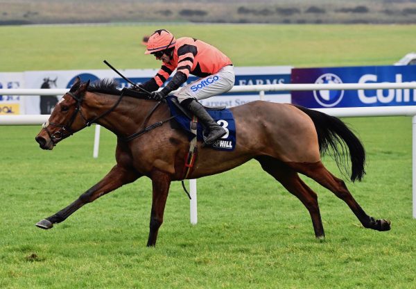 Jetara (Walk In The Park) Wins The Listed Mares Novice Hurdle At Punchestown