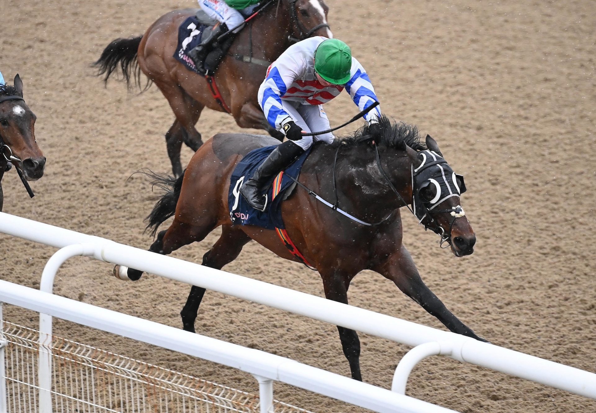 Squire Danagher (Australia) Wins His Maiden At Dundalk