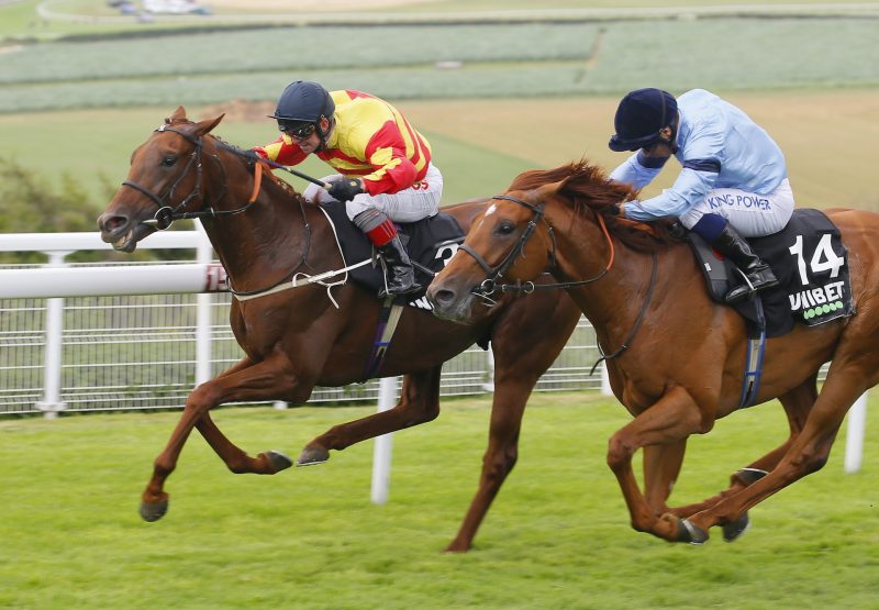 Sir Ron Priestley (Australia) Wins At Goodwood