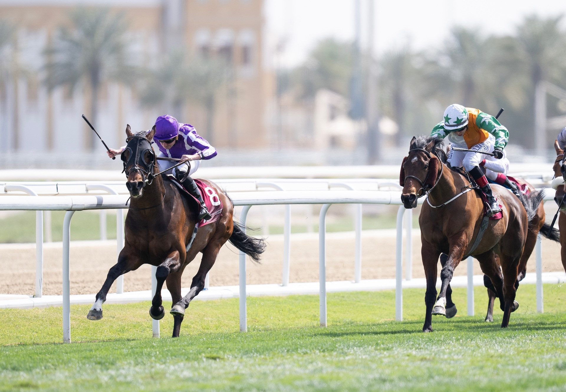 Order Of Australia (Australia) Wins The Group 2 Irish Thoroughbred Marketing Cup in Qatar