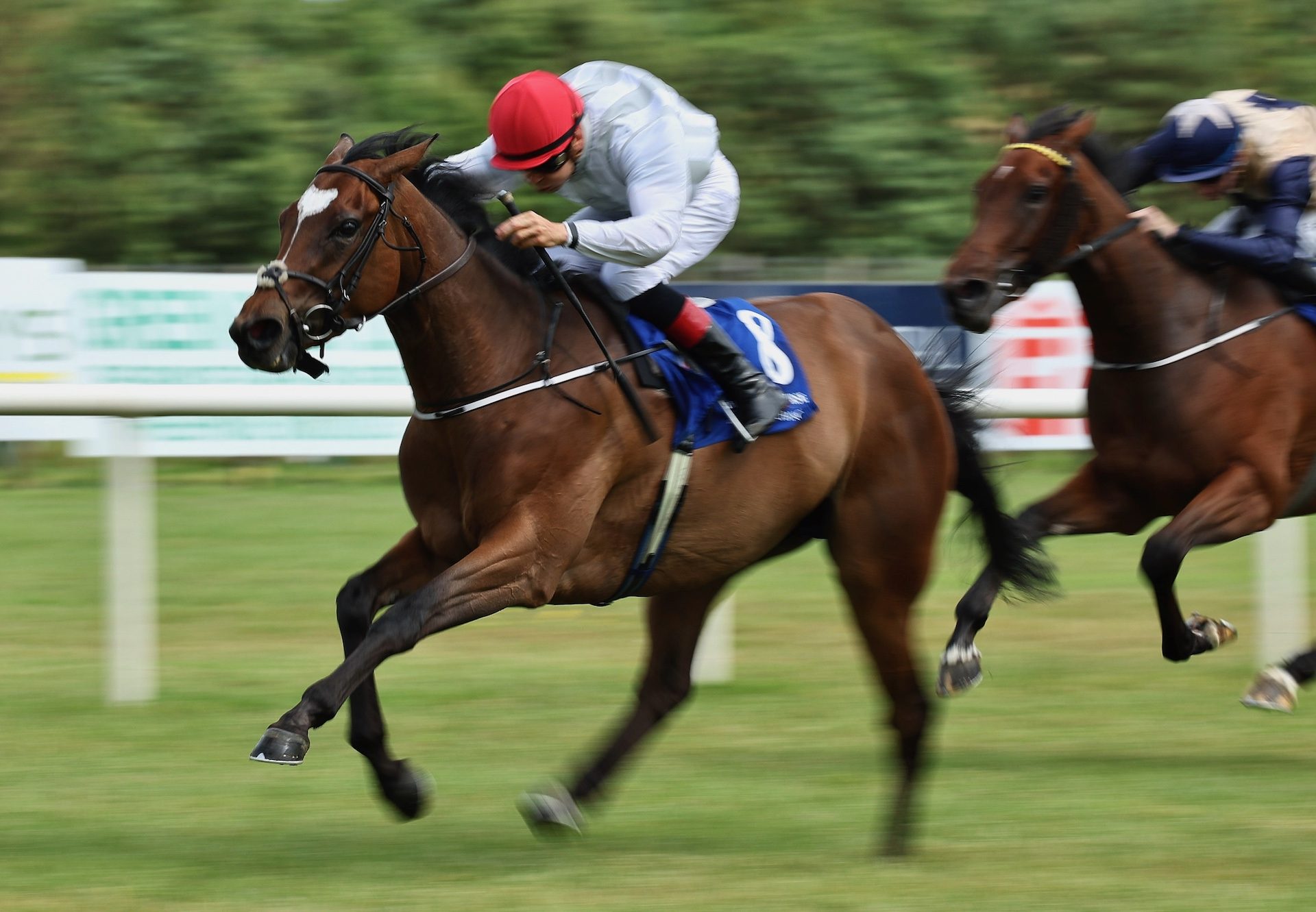 La Vita Nova (Gleneagles) Wins Her Maiden At Limerick