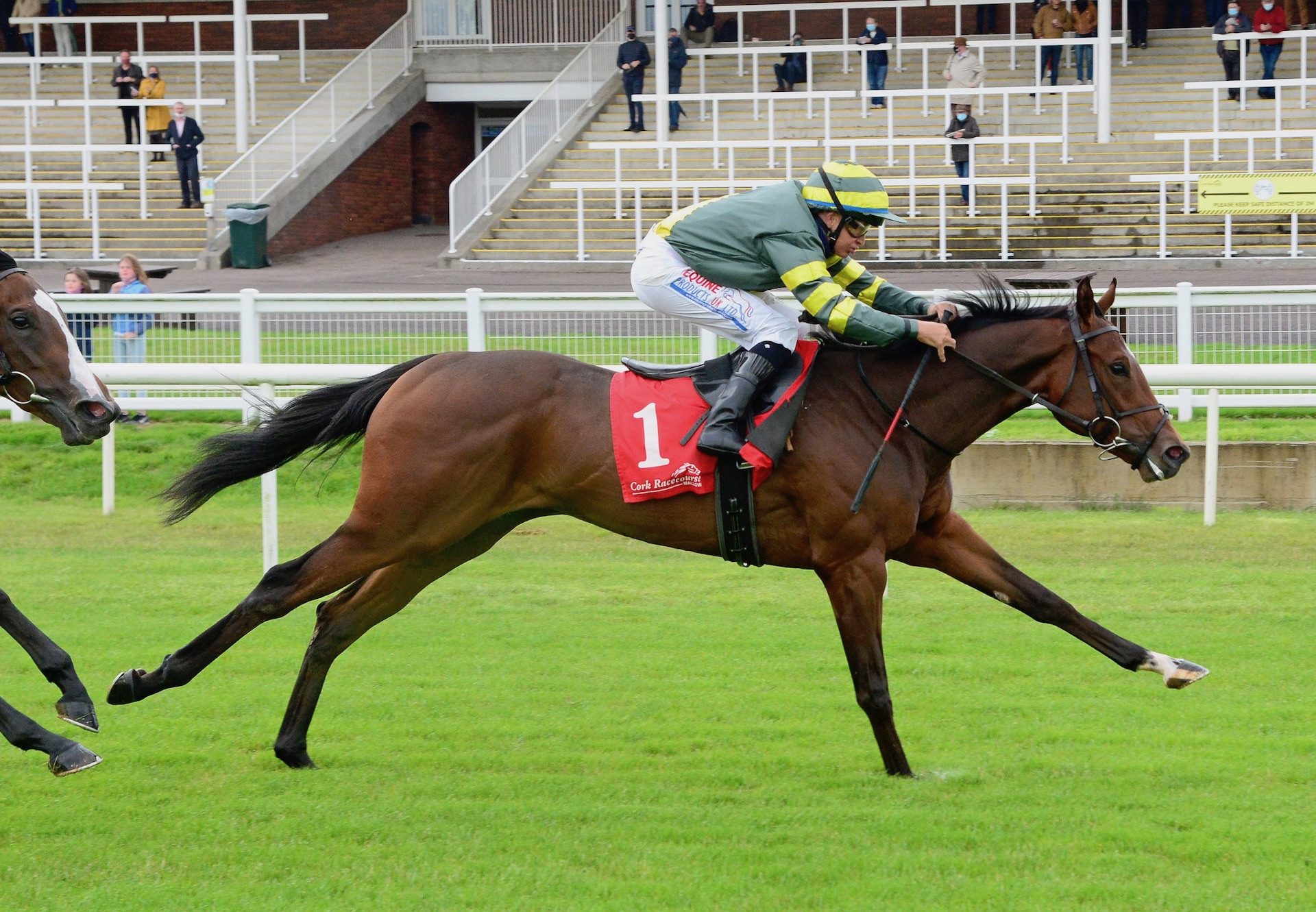 Drombeg Banner (Starspangledbanner) Wins His Maiden At Cork