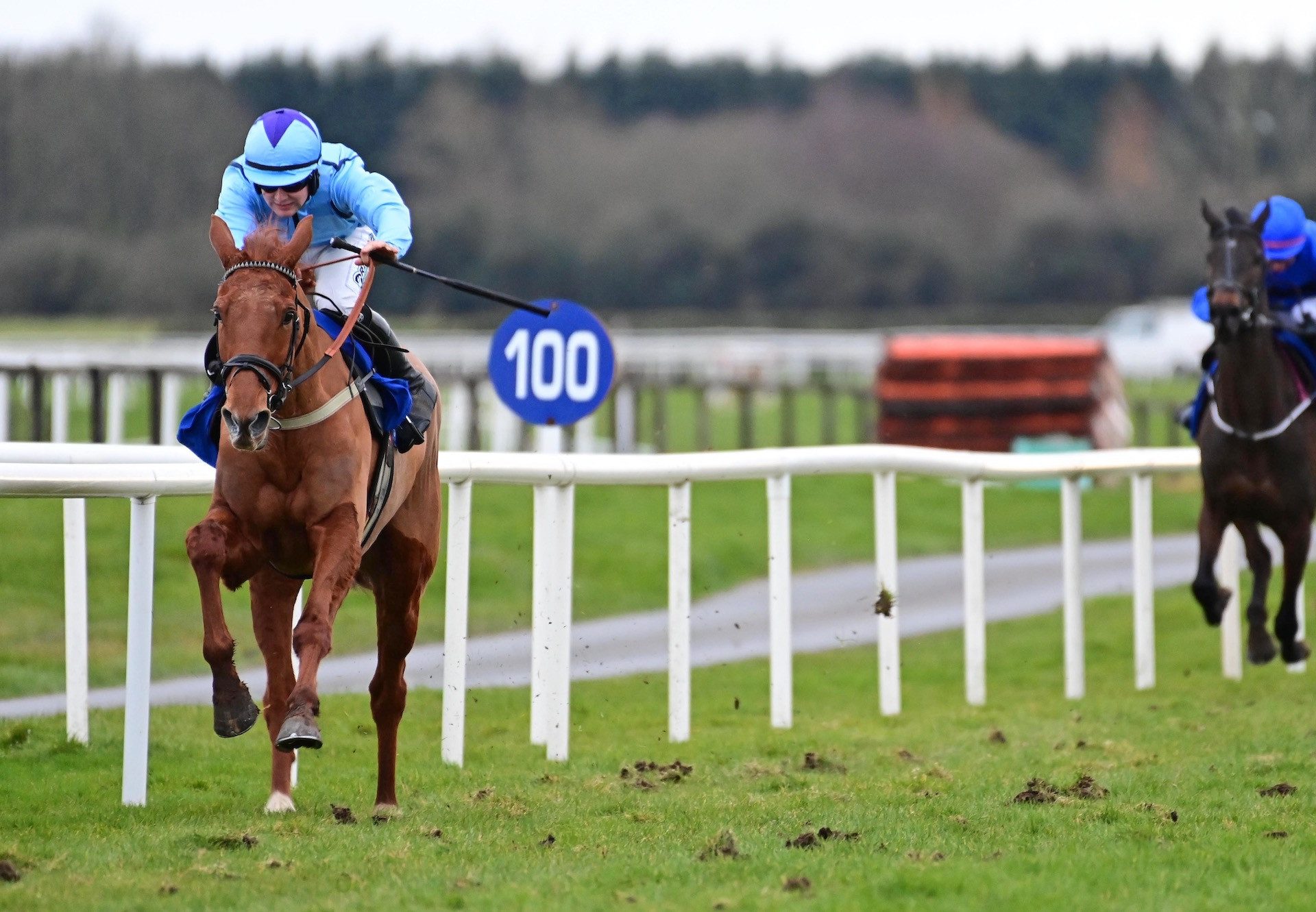 O'Toole (Mahler) Wins The Bumper At Fairyhouse