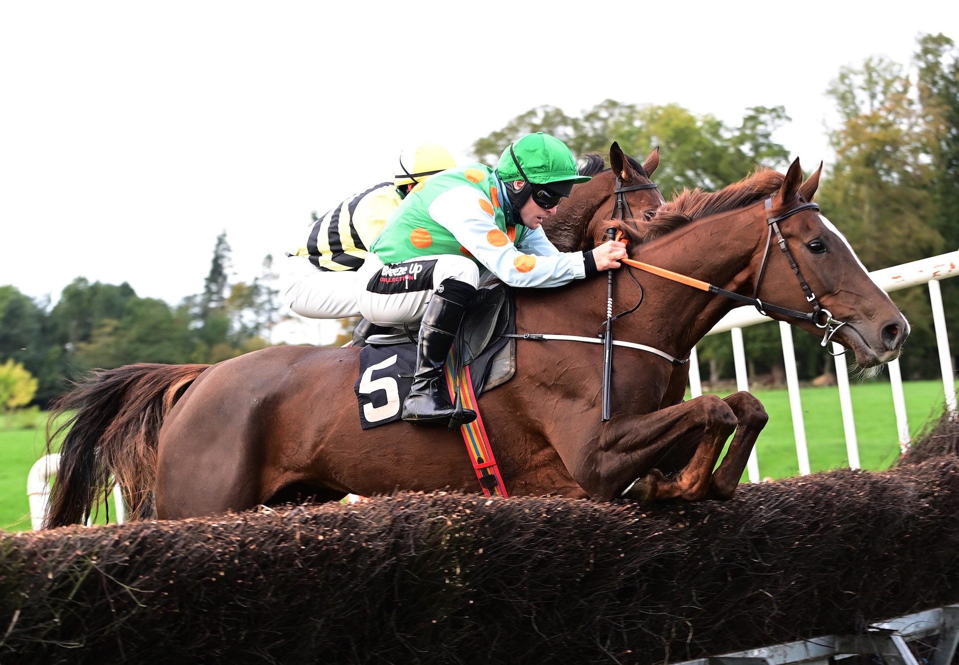 Smiling Getaway (Getaway) Wins The Four Year Old Mares Maiden At Loughanmore