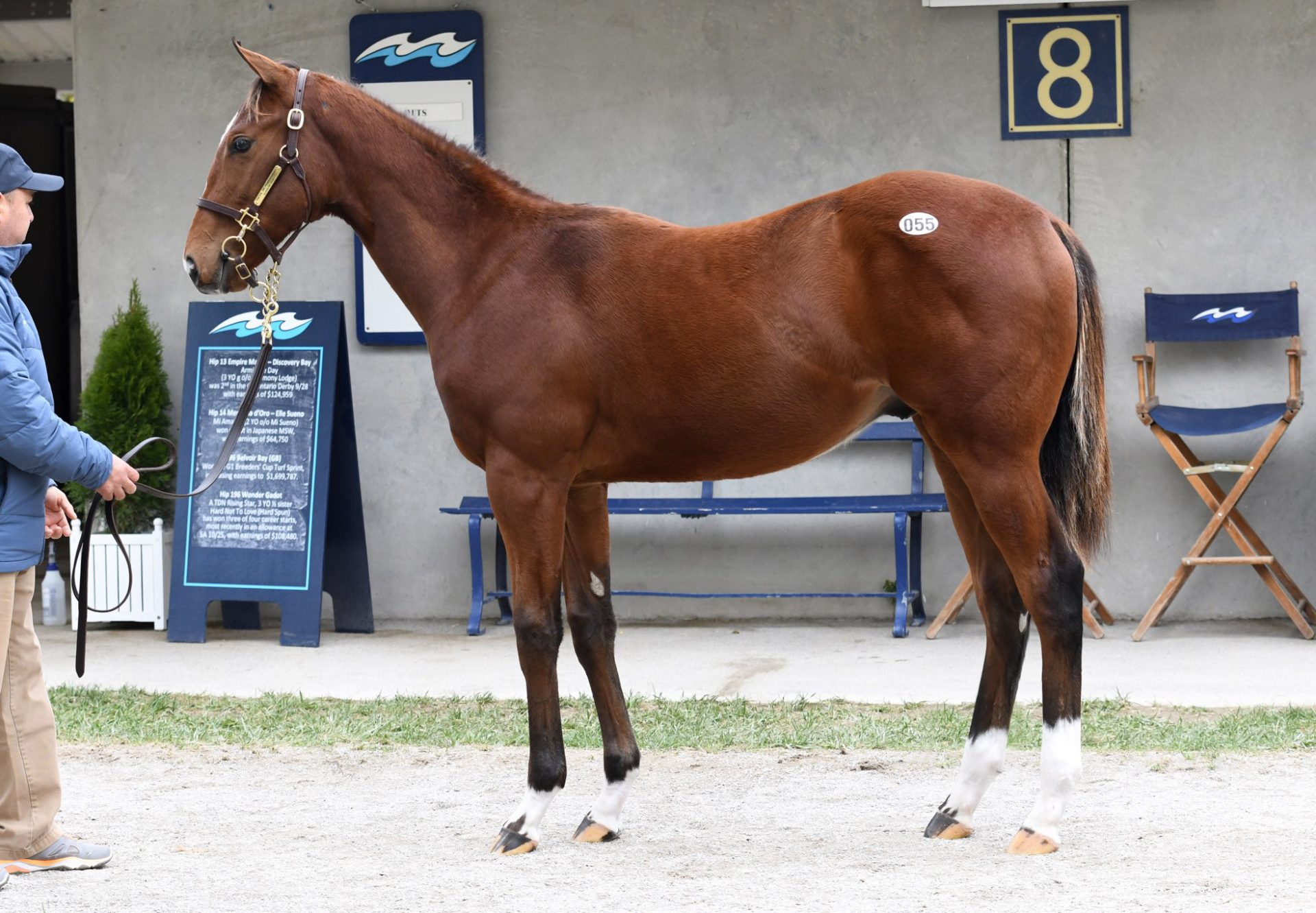 Hip55 Practical Joke X Promisedyouheaven Colt Ftnov